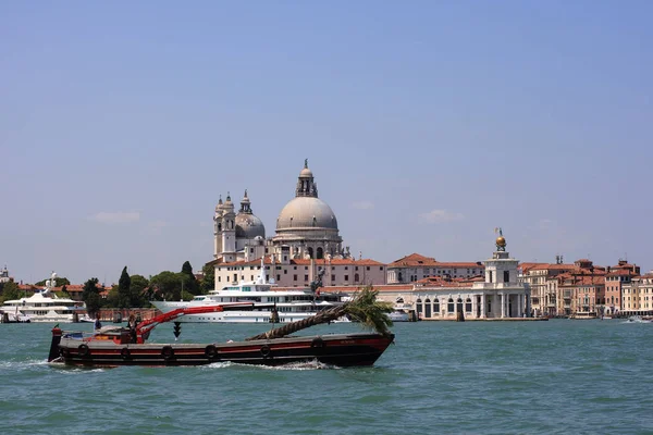 Boat transporting palm tree on Canal Grande — Stock Photo, Image