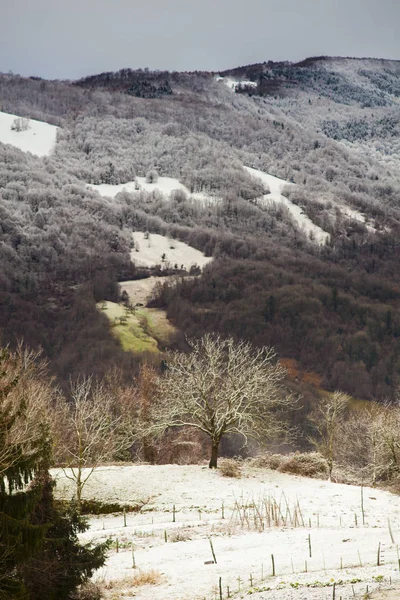 Montañas eslovenas cubiertas de nieve — Foto de Stock