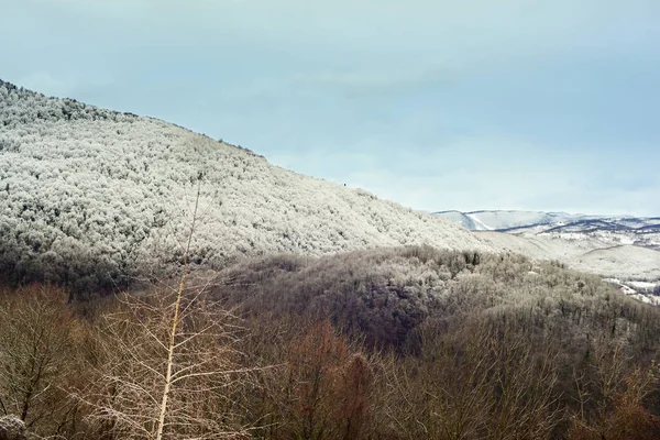 Montañas eslovenas cubiertas de nieve — Foto de Stock