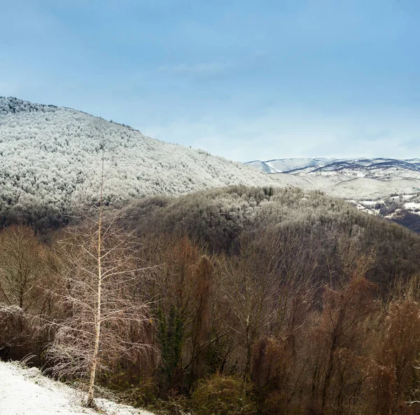 Montañas eslovenas cubiertas de nieve —  Fotos de Stock