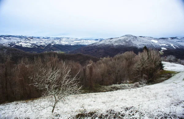 Montañas eslovenas cubiertas de nieve —  Fotos de Stock