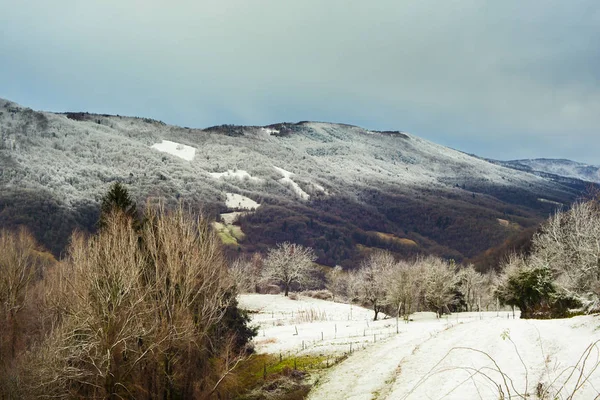 Montañas eslovenas cubiertas de nieve —  Fotos de Stock