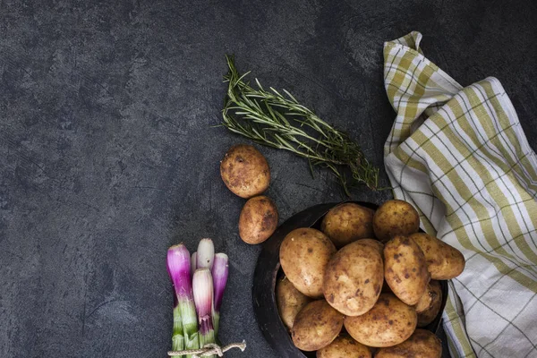 Весняна цибуля і картопля на темному фоні — стокове фото