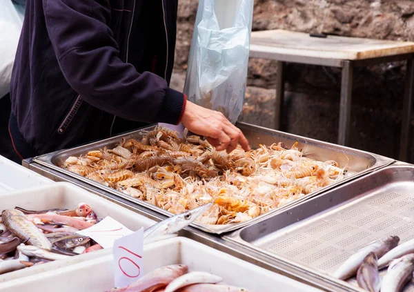 Vendedor de cigarras de mar en el mercado de pescado de la calle, Catania — Foto de Stock