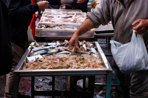 Salesman selling sea cicadas in the street fish market, Catania — Stock Photo, Image