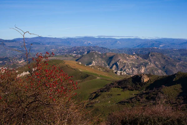 Églantier dans la campagne sicilienne — Photo