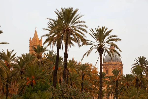 Cathedral church of Palermo dedicated to the Assumption of the V — 스톡 사진