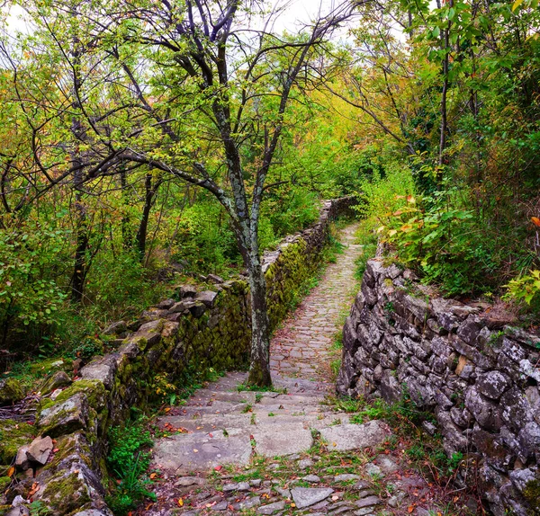 Tree Middle Path Called Sentiero Natura — Stock Photo, Image