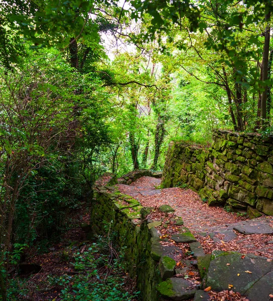 Dry Stone Sometimes Called Drystack Drystane Path Called Sentiero Natura — Stock Photo, Image