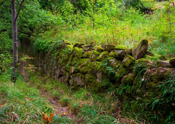Trockenmauer Manchmal Trockenmauer Oder Trockenmauer Auf Dem Weg Sentiero Natura — Stockfoto