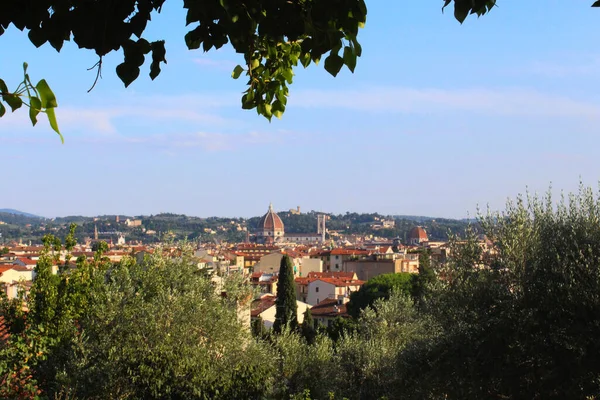 Vista Dall Alto Del Duomo Firenze — Foto Stock