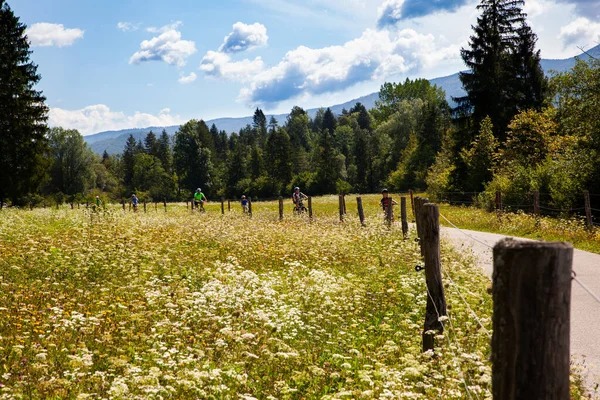 Bohinj Slowenien August 2019 Familie Auf Radtour Auf Dem Landweg — Stockfoto