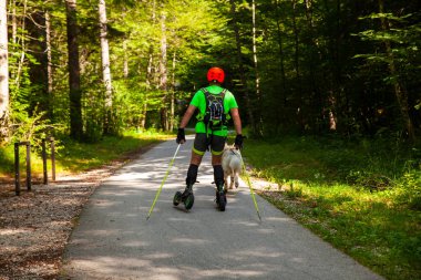 Bir adam ve köpeği yazın Slovenya 'nın Bohinj Ormanı yolunda paten kayıyorlar.