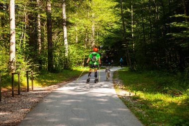 Bir adam ve köpeği yazın Slovenya 'nın Bohinj Ormanı yolunda paten kayıyorlar.