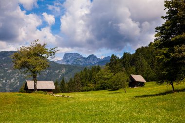 Sırt çantalı genç bir kadın Slovenya kırsalında yürüyüş yapıyor. Bohinj