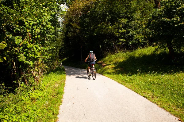 Mountain Bike Ciclista Montando Pista Rural Bohinj Eslovênia — Fotografia de Stock