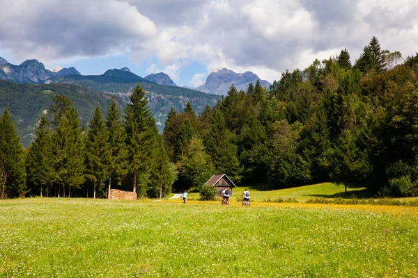 Ποδηλάτης Βουνού Ιππασία Πίστα Υπαίθρου Bohinj Σλοβενία — Φωτογραφία Αρχείου