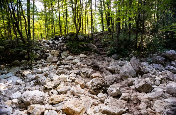 斯洛文尼亚干涸的河流里只剩下岩石 — 图库照片