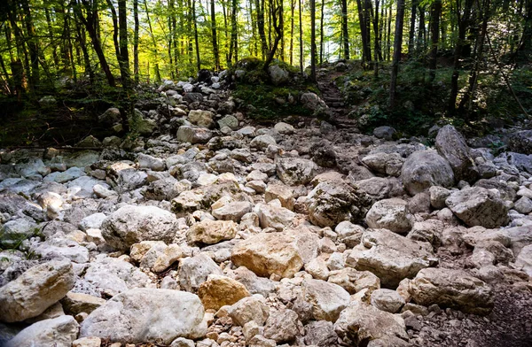 斯洛文尼亚干涸的河流里只剩下岩石 — 图库照片