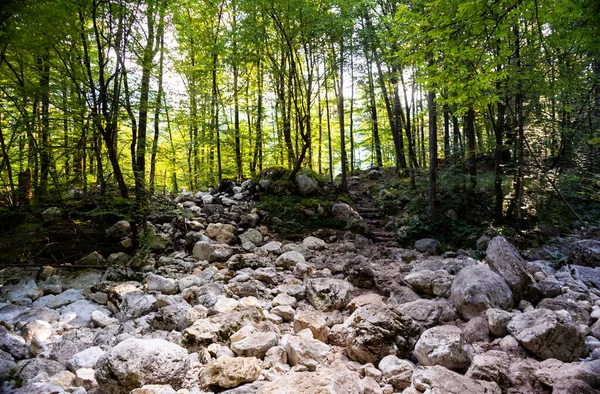 Slovenya Yaz Mevsiminde Kuruyan Sadece Kayalarla Dolu Bir Nehir — Stok fotoğraf