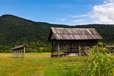 Yem kurutma makinesi Studor 'da kullanılan Hayracks adındaki tipik yapısal ahşap görüntüsü. Slovenya