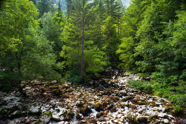 View Savica River Bohinj Slovenia — Stock Photo, Image