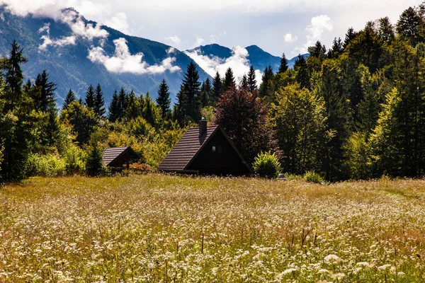 Blick Auf Das Slowenische Chalet Stara Fuzina Bei Bohinj Slowenien — Stockfoto