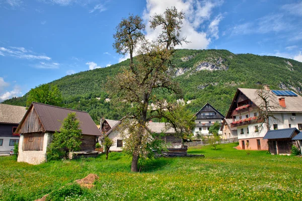 Vista Chalé Esloveno Stara Fuzina Pequena Cidade Perto Bohinj Eslovênia — Fotografia de Stock