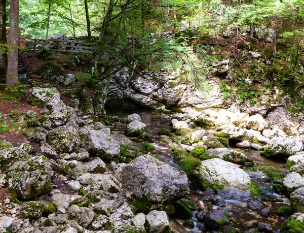 Blick Auf Den Fluss Savica Bohinj Slowenien — Stockfoto