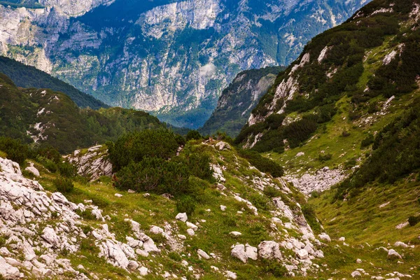 Vista Dall Alto Della Parte Montuosa Vogel Delle Alpi Giulie — Foto Stock