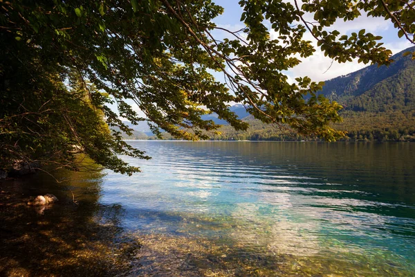 Widok Malownicze Jezioro Bohinj Największe Stałe Jezioro Słowenii Położone Dolinie — Zdjęcie stockowe