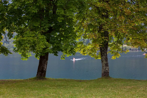 Vista Panorámica Del Lago Bohinj Eslovenia — Foto de Stock