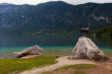 Slovenya 'daki Bohinj Gölü' ndeki altın boynuzlu bronz heykele bak 