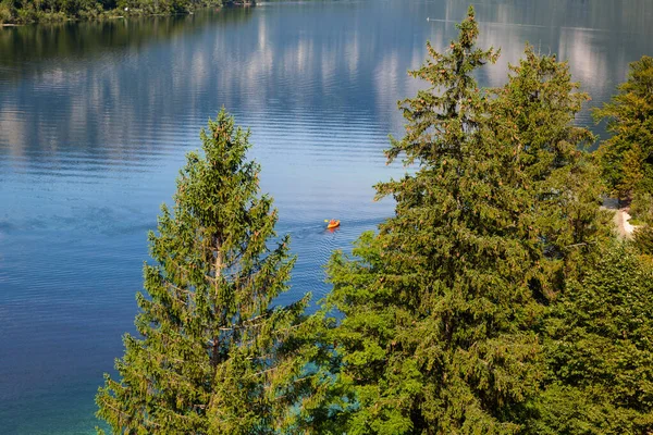 Ovanifrån Bohinj Sjön Slovenien — Stockfoto