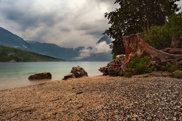 Widok Malownicze Jezioro Bohinj Największe Stałe Jezioro Słowenii Położone Dolinie — Zdjęcie stockowe