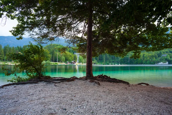 Вид Живописное Озеро Фелинь Самое Большое Постоянное Озеро Словенской Долине — стоковое фото