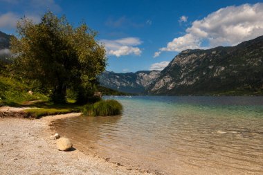 Slovenya 'nın en büyük kalıcı gölü olan Bohinj Gölü Julian Alpleri' nin Bohinj Vadisi 'nde yer almaktadır.
