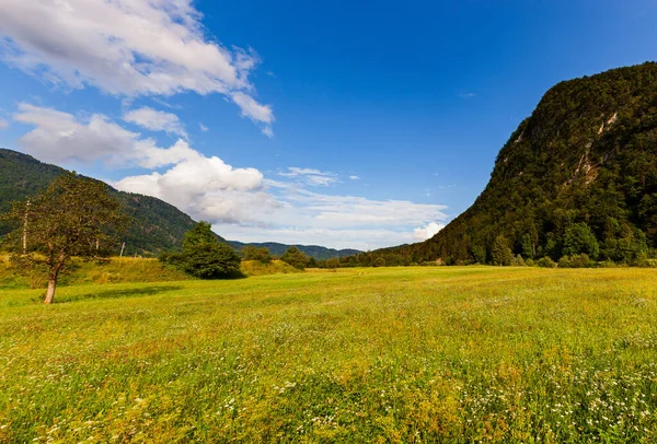 Uitzicht Het Sloveense Landschap Bohinj Slovenië — Stockfoto