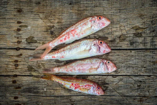 Barwena surowe ryby — Zdjęcie stockowe