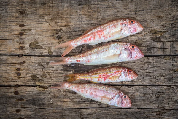 Peixe cru de tainha vermelha — Fotografia de Stock