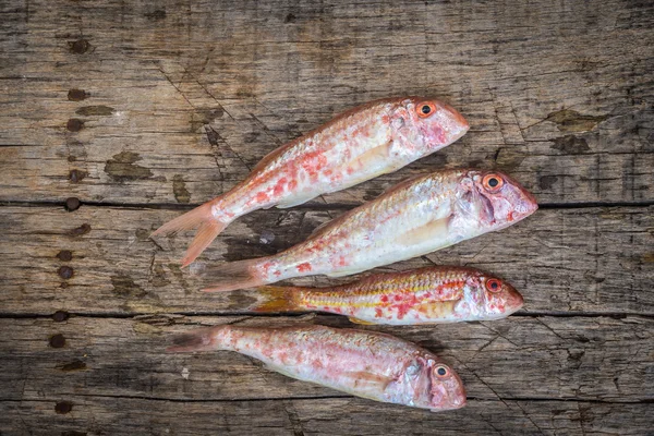 Peixe cru de tainha vermelha — Fotografia de Stock