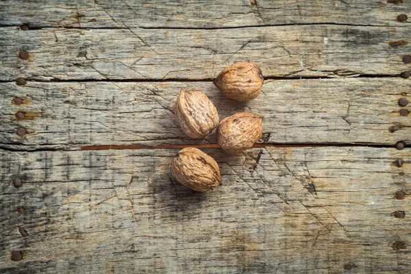 Walnut mentah segar — Stok Foto