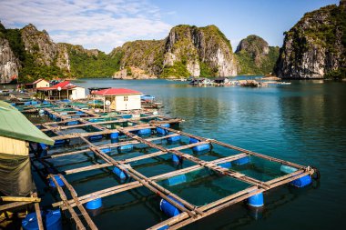 Halong Körfezi, Vietnam