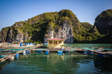 Halong Körfezi, Vietnam