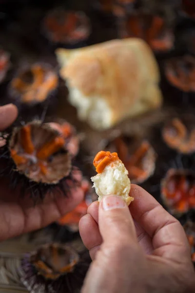 Erizos de mar frescos — Foto de Stock