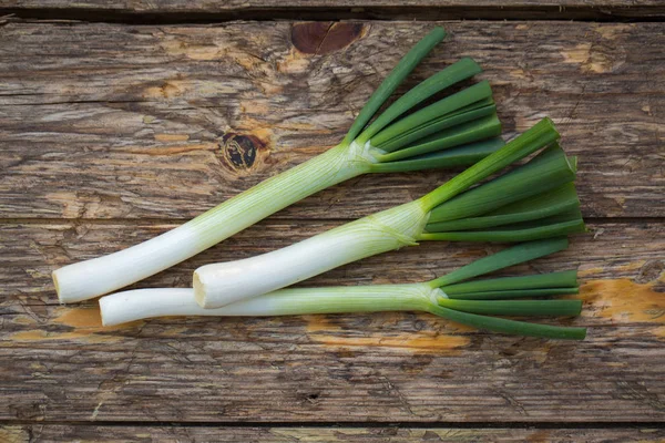 Råa vårlök — Stockfoto