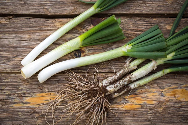 Raw spring onions — Stock Photo, Image