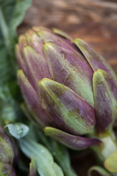 Carciofi freschi crudi — Foto Stock