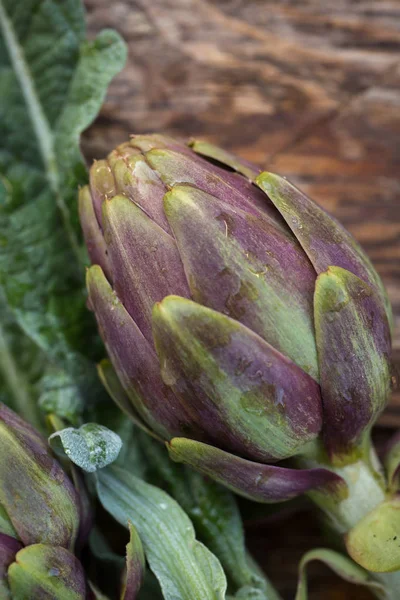 Carciofi freschi crudi — Foto Stock