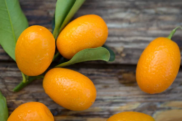 Stelletje Kumquat vruchten — Stockfoto
